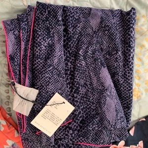 Acacia pareo brand new